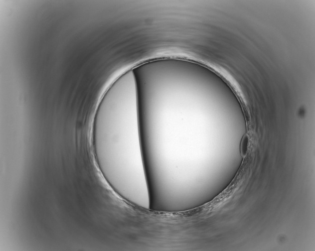 X0000099940815200805231019