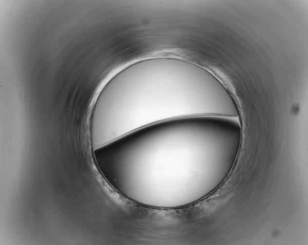 X0000099940816200805231019