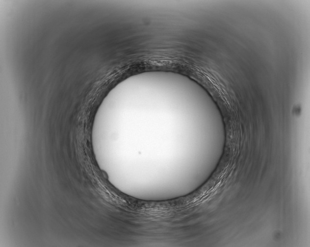X0000099940817200805231019