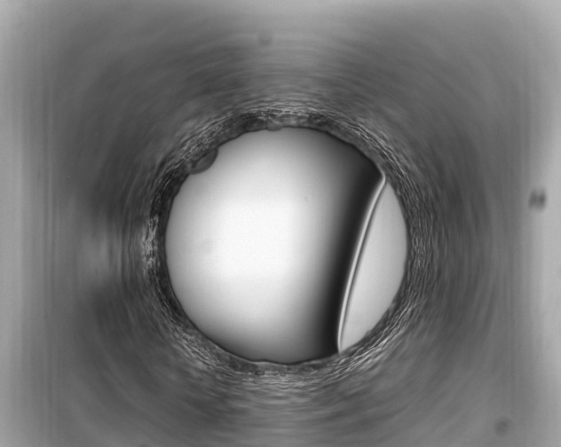 X0000099940818200805231019
