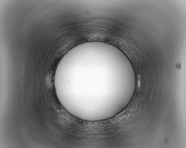 X0000099940819200805231019
