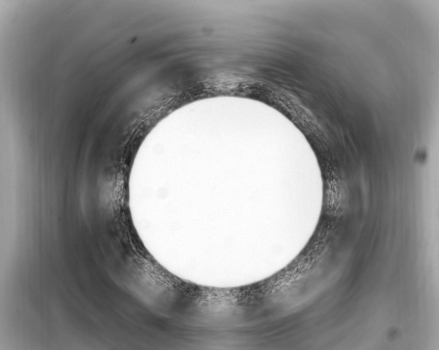 X0000099940820200805231019