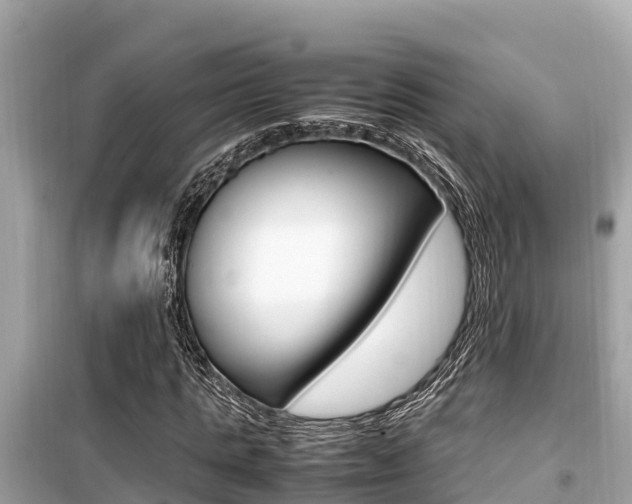 X0000099940821200805231019