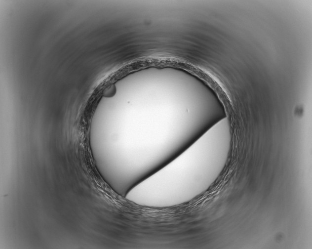 X0000099940823200805231019