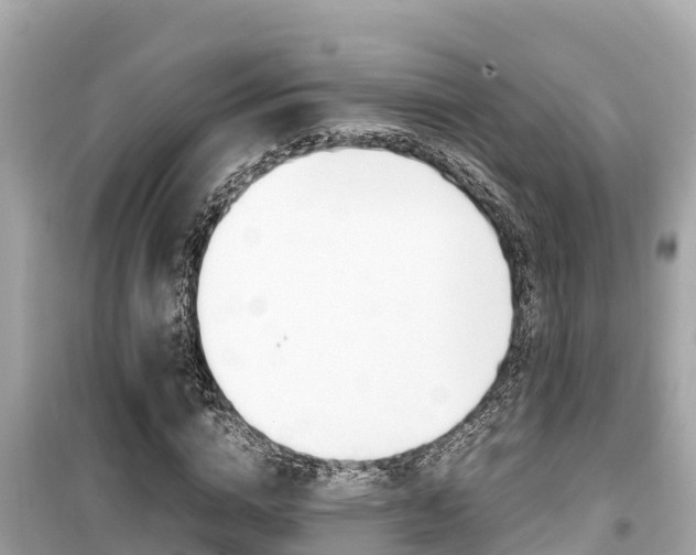 X0000099940824200805231019