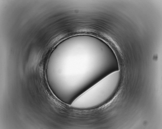 X0000099940825200805231019