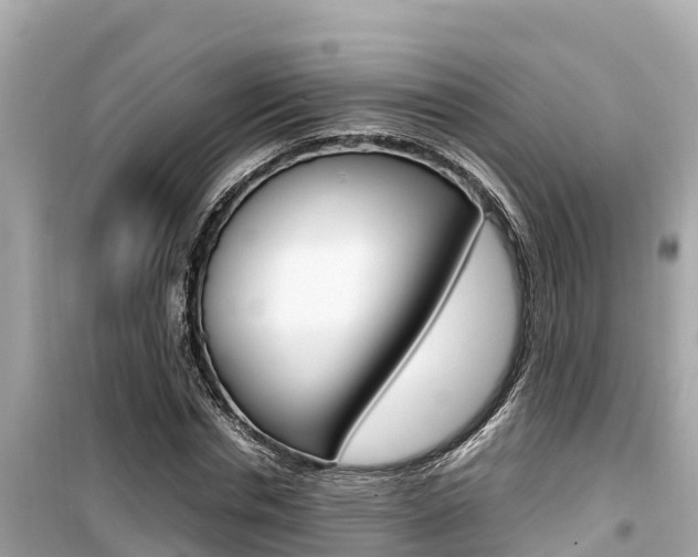 X0000099940826200805231019