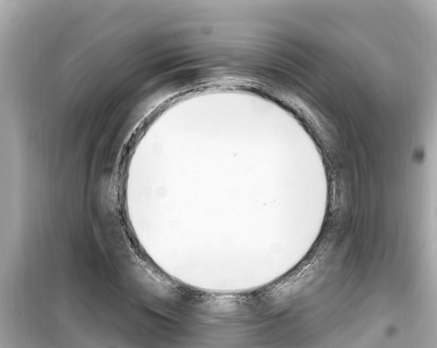 X0000099940828200805231019
