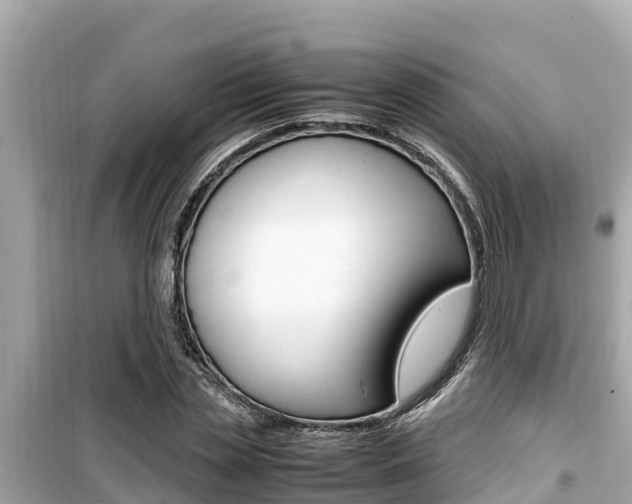 X0000099940829200805231019