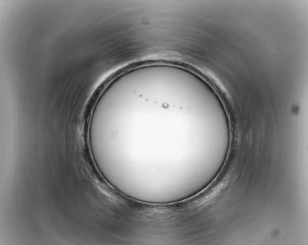 X0000099940830200805231019