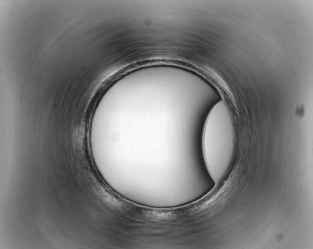X0000099940831200805231019