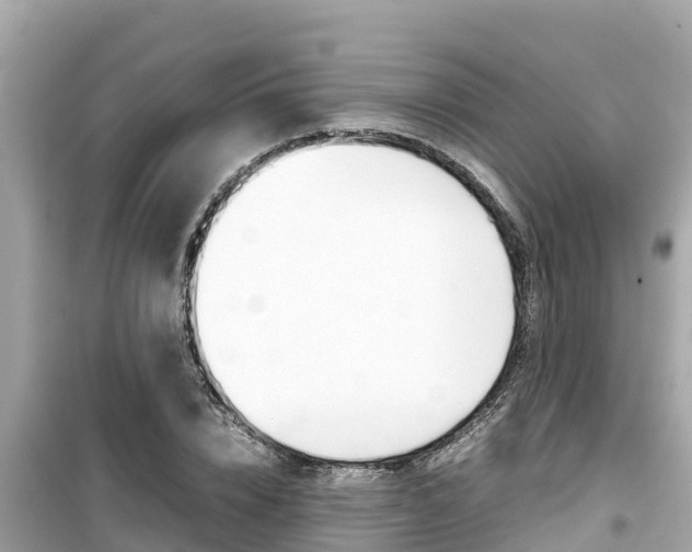 X0000099940832200805231019