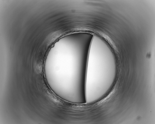 X0000099940833200805231019