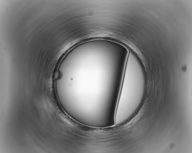 X0000099940834200805231019