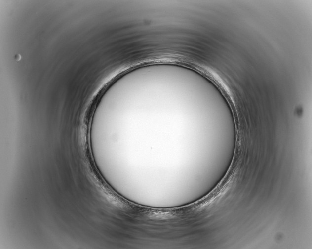 X0000099940835200805231019