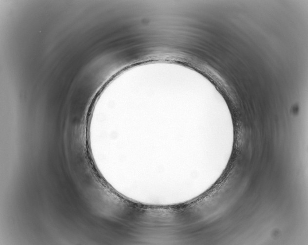 X0000099940836200805231019