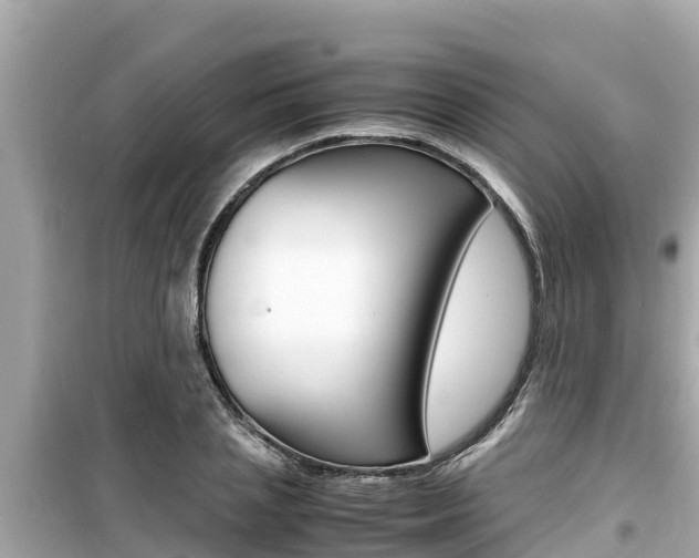 X0000099940837200805231019