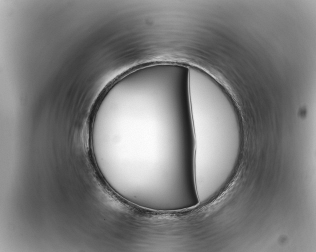 X0000099940838200805231019