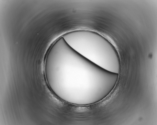 X0000099940839200805231019