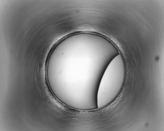 X0000099940840200805231019