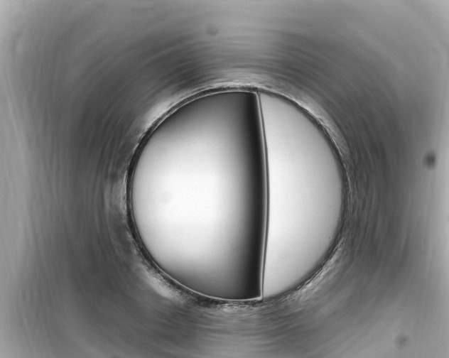 X0000099940842200805231019