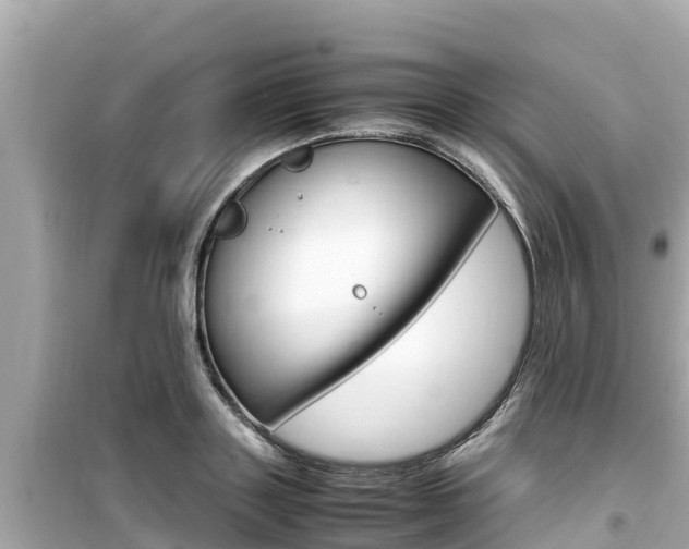 X0000099940843200805231019