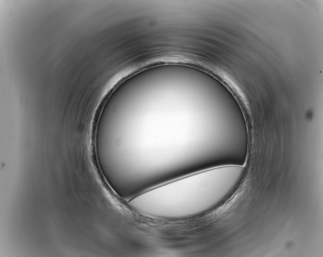 X0000099940845200805231019