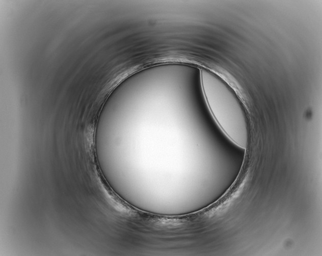 X0000099940849200805231019