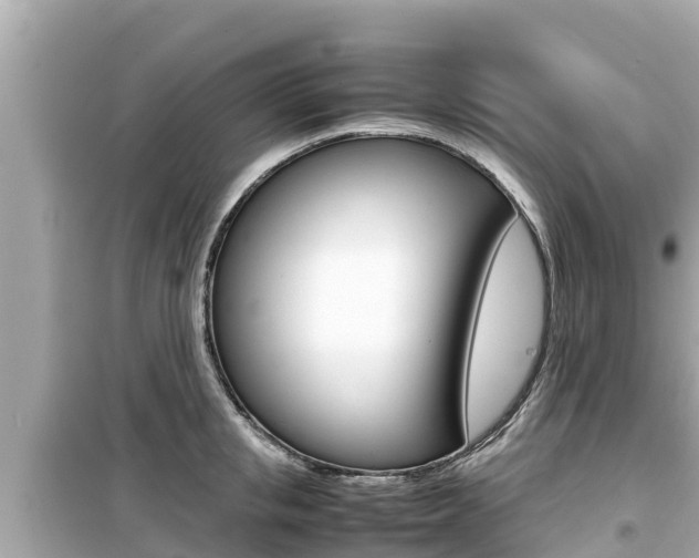 X0000099940853200805231019