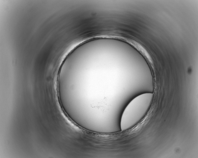 X0000099940855200805231019