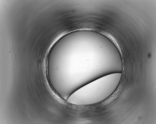 X0000099940859200805231019
