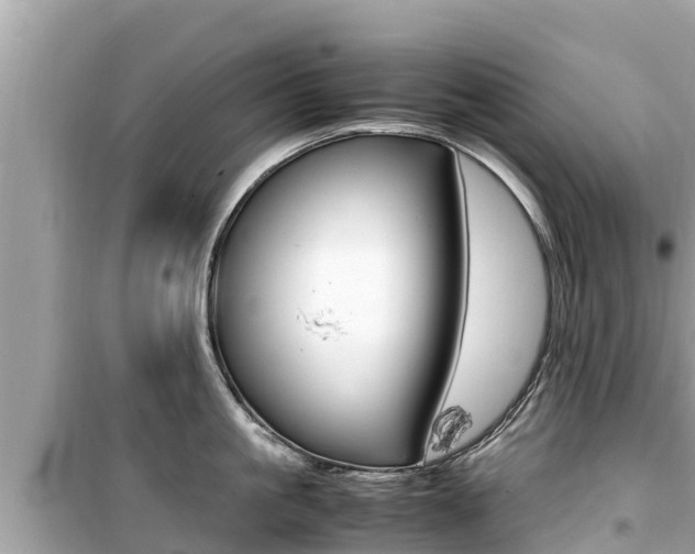 X0000099940861200805231019