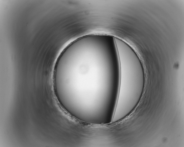 X0000099940864200805231019