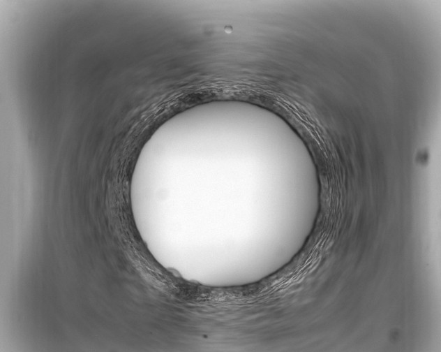 X0000099940865200805231019
