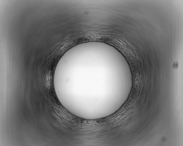 X0000099940866200805231019