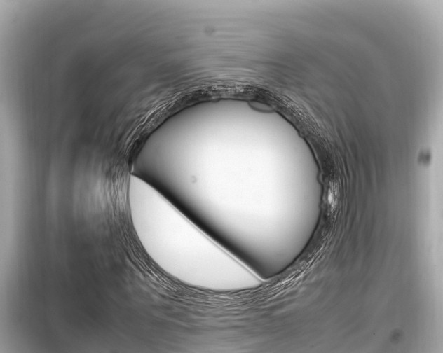 X0000099940867200805231019