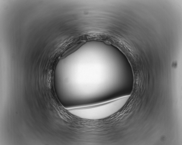 X0000099940868200805231019