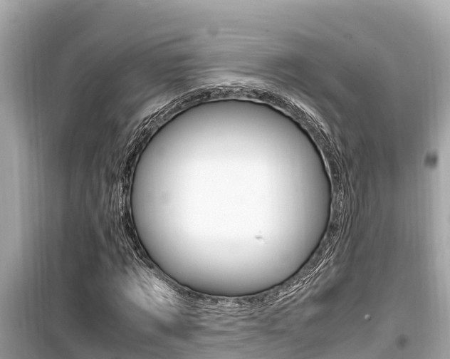 X0000099940869200805231019