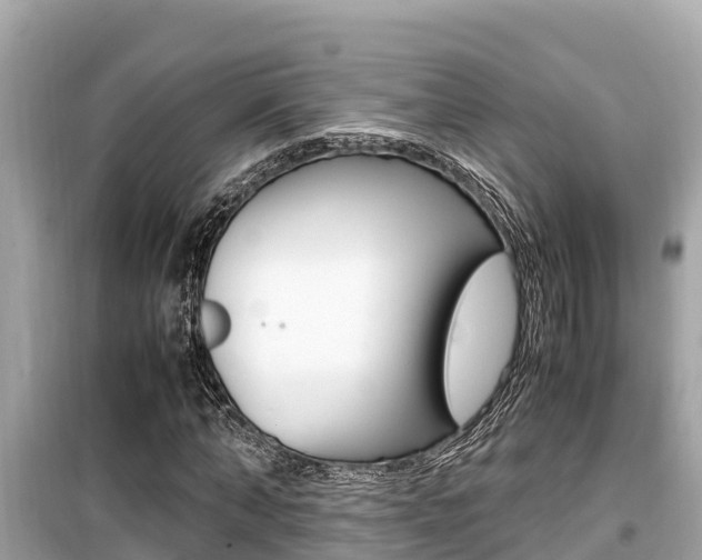 X0000099940870200805231019