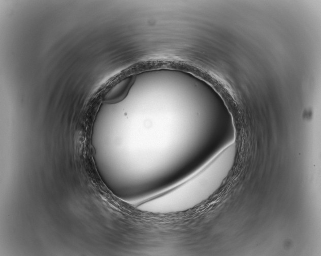 X0000099940872200805231019