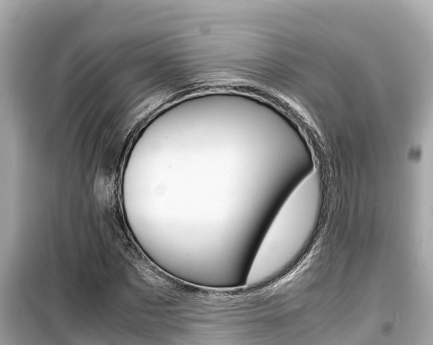 X0000099940873200805231019