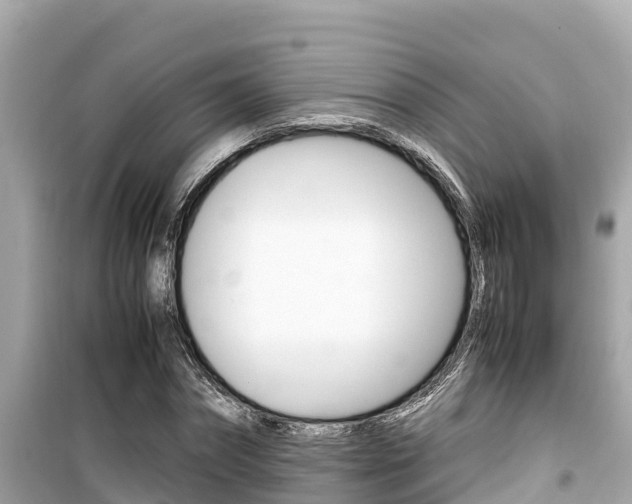 X0000099940874200805231019