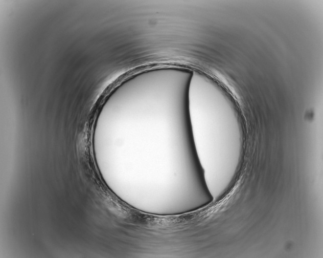 X0000099940875200805231018
