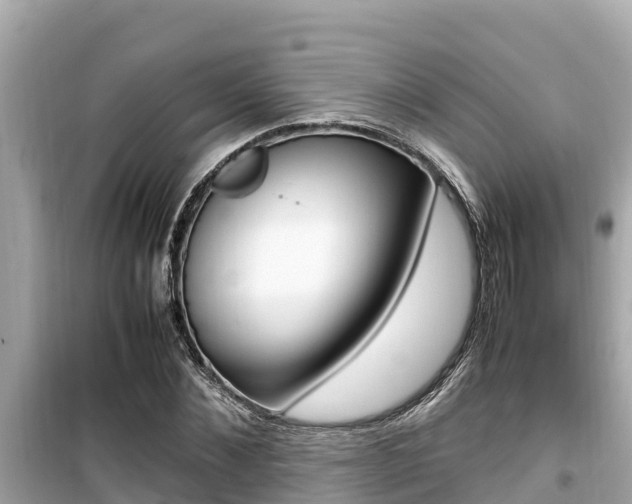 X0000099940876200805231018
