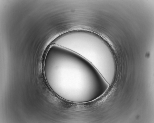 X0000099940877200805231018