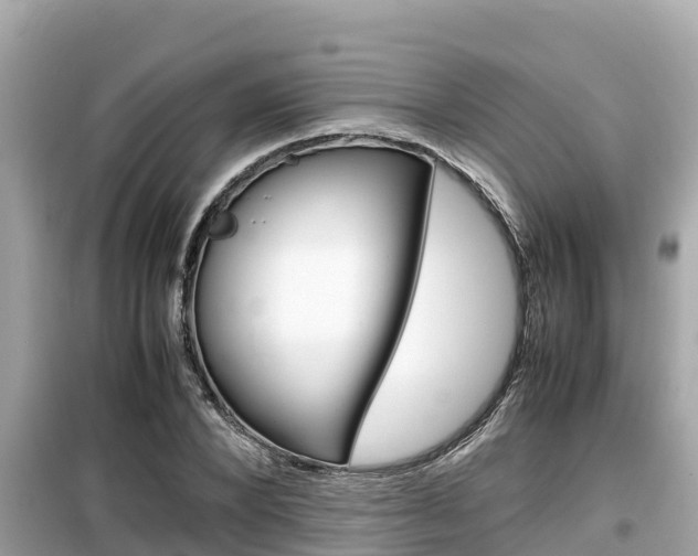 X0000099940880200805231018