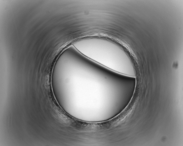 X0000099940881200805231018