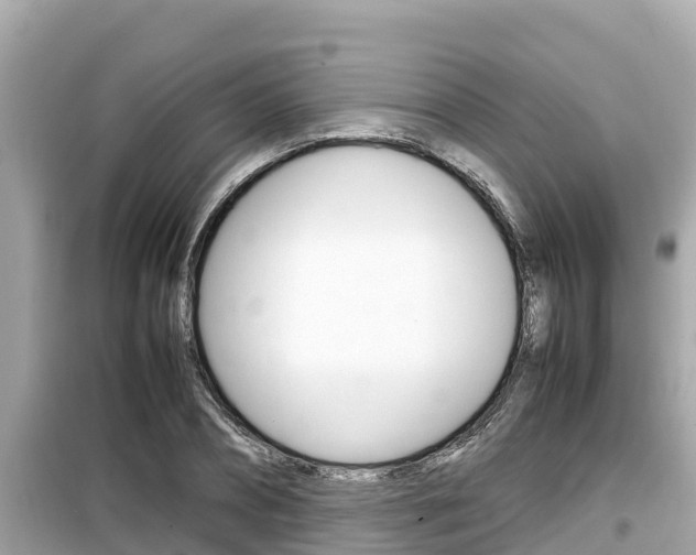 X0000099940882200805231018