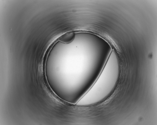 X0000099940884200805231018