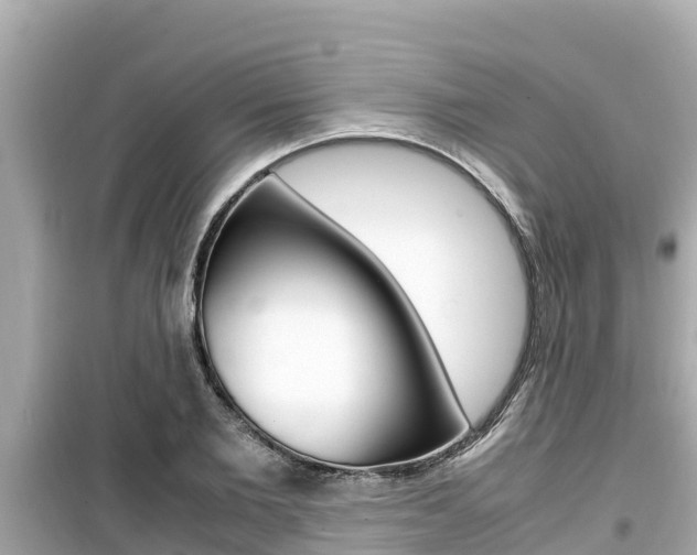 X0000099940885200805231018
